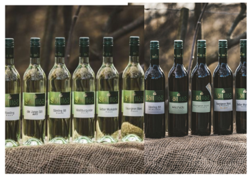 Kostpaket GOLD & SILBER